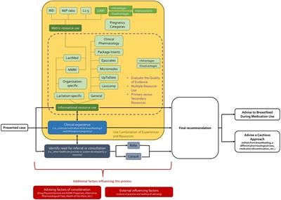 Addressing maternal medication use during breastfeeding using clinical resources and a novel physiologically based pharmacokinetic model-derived metric: A qualitative study